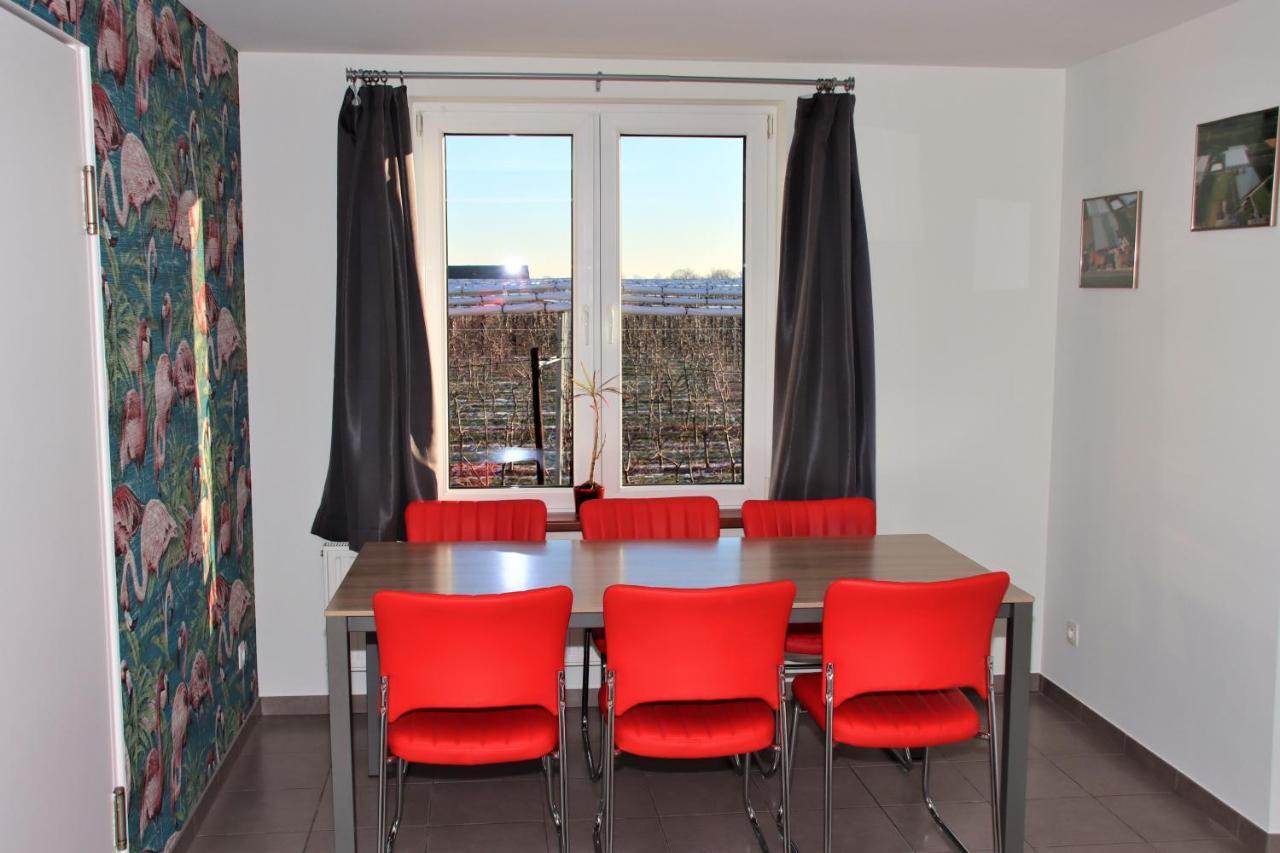 Apartamento Juwel Fruithof Zepperen Exterior foto