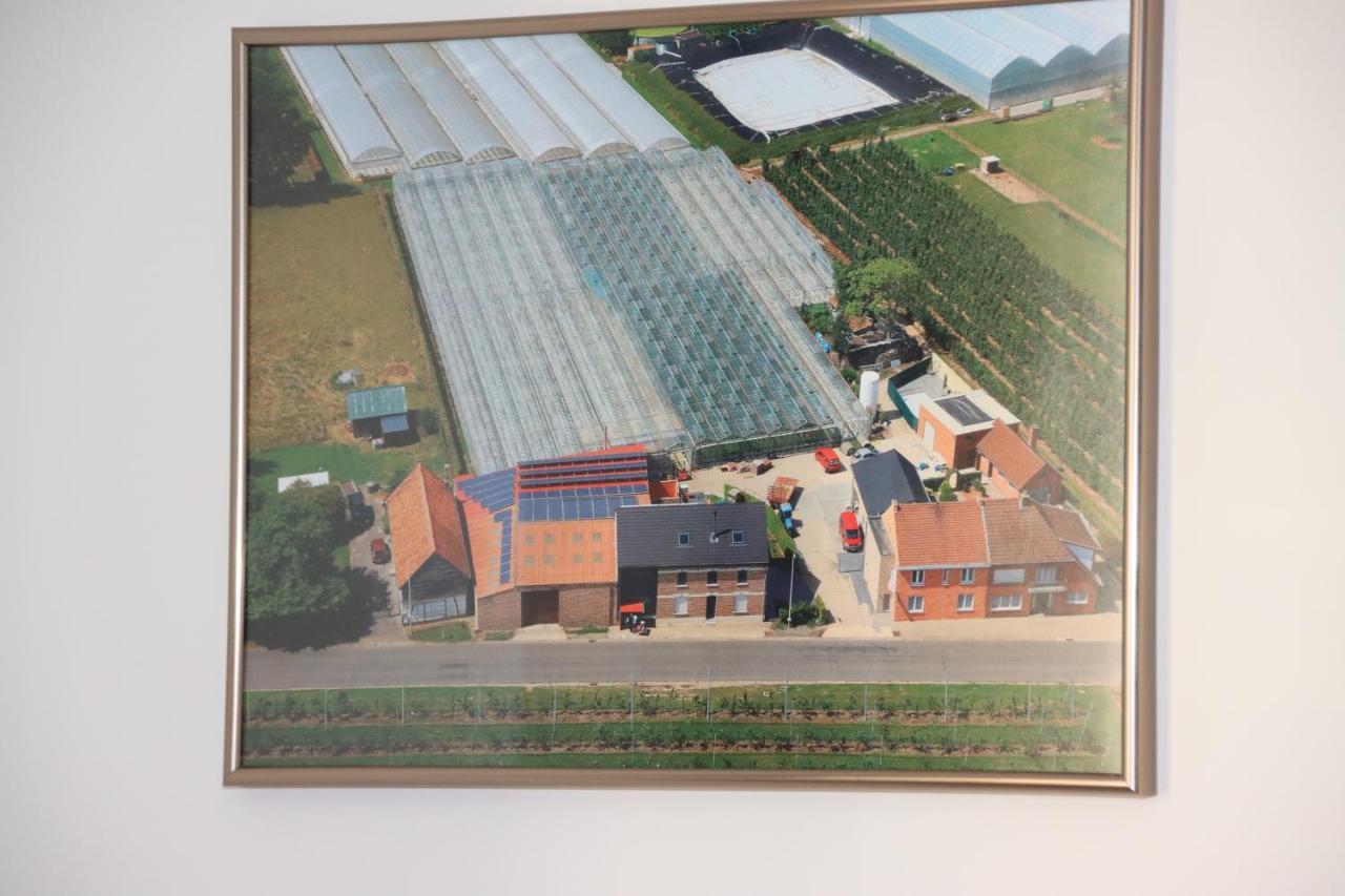 Apartamento Juwel Fruithof Zepperen Exterior foto