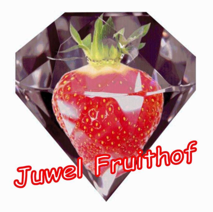 Apartamento Juwel Fruithof Zepperen Habitación foto